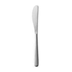 Couteau de table en acier inoxydable 21cm