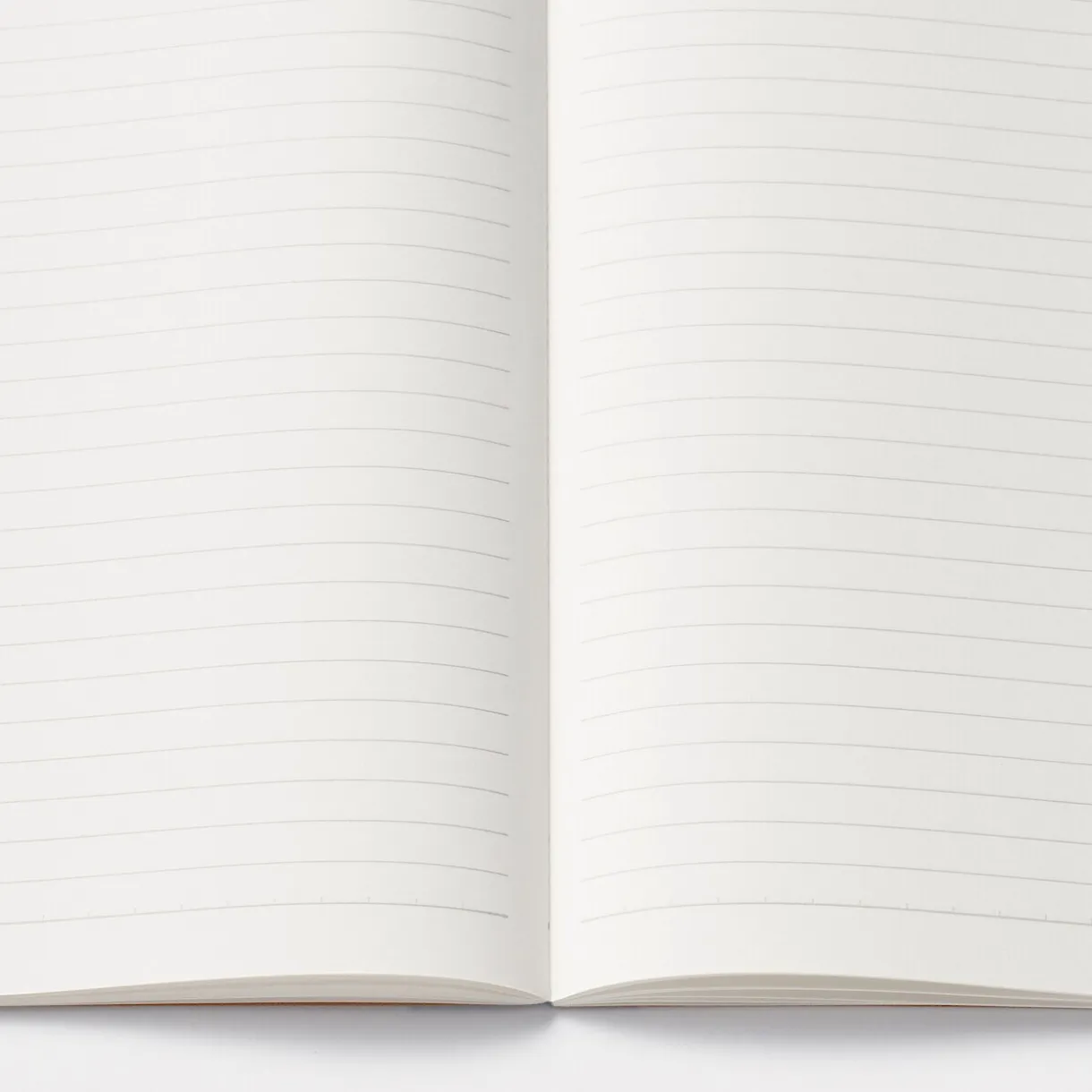 Lot de 5 carnets en papier d`arbres de plantation (A4)