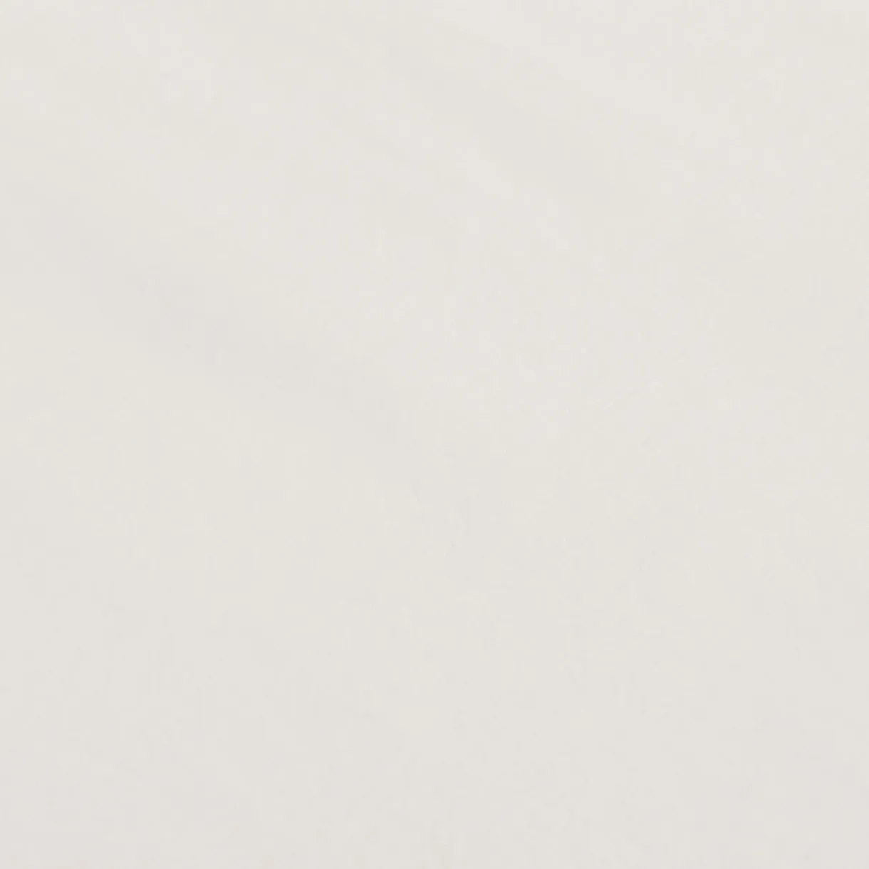Taie d'oreiller en coton délavé (Lot de 2)